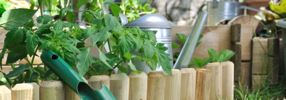 Header 3 VIERKANTE METER BORDERS