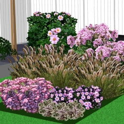 Zon tot halfschaduwborders