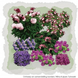 Zon tot halfschaduwborders