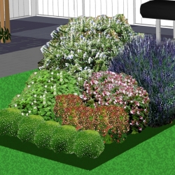 Zon tot halfschaduwborder groenblijvende border de luxe