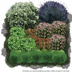 Zon tot halfschaduwborder groenblijvende border de luxe