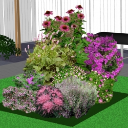 Zon tot halfschaduwborder in karmijnroze en wit