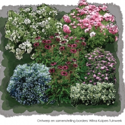 Zon tot halfschaduwborder kleurrijke struikjesborder