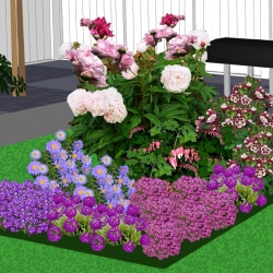 Seizoensborder voorjaar in purper en roze