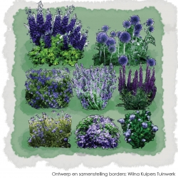 Seizoensborder zomer superblauw