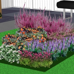 Bodembedekker groenblijvend en bloeiend