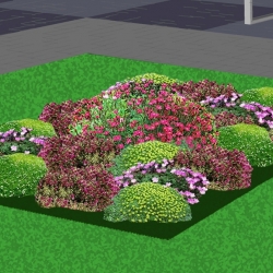 Exclusieve border rotsplantentapijt