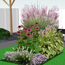 Exclusieve border siergrassen in purper en groen