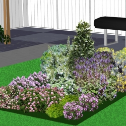 Exclusieve kruidenborder geurig en fleurig