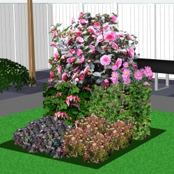 Schaduwborder in purper en rood