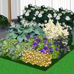 Schaduwborder in blauw en wit